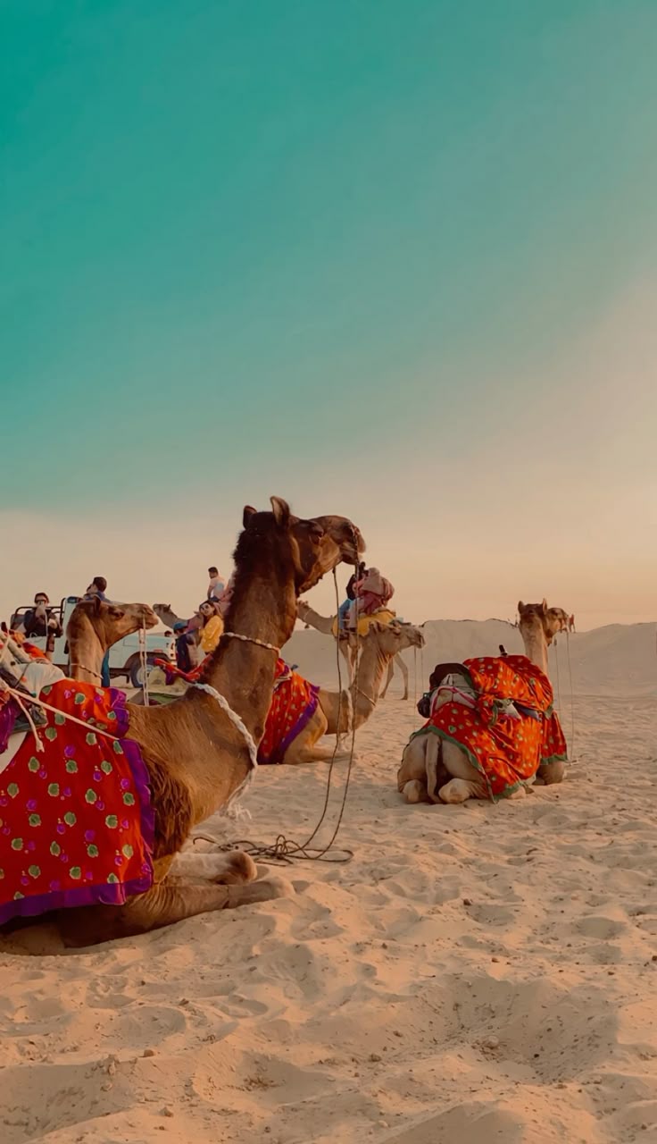 Thar Desert and Jaisalmer Fort – The Golden City